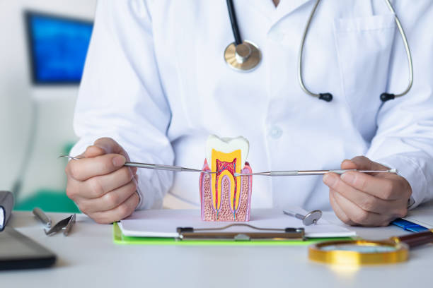 Best Walk-In Emergency Dentist in Lexington, VA